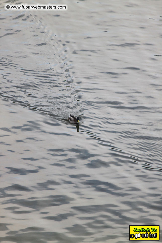 Baddog's view of Webmaster Access Amsterdam