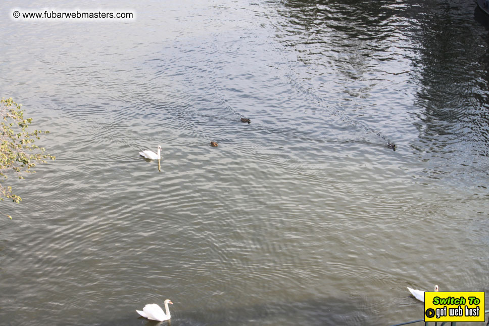 Baddog's view of Webmaster Access Amsterdam