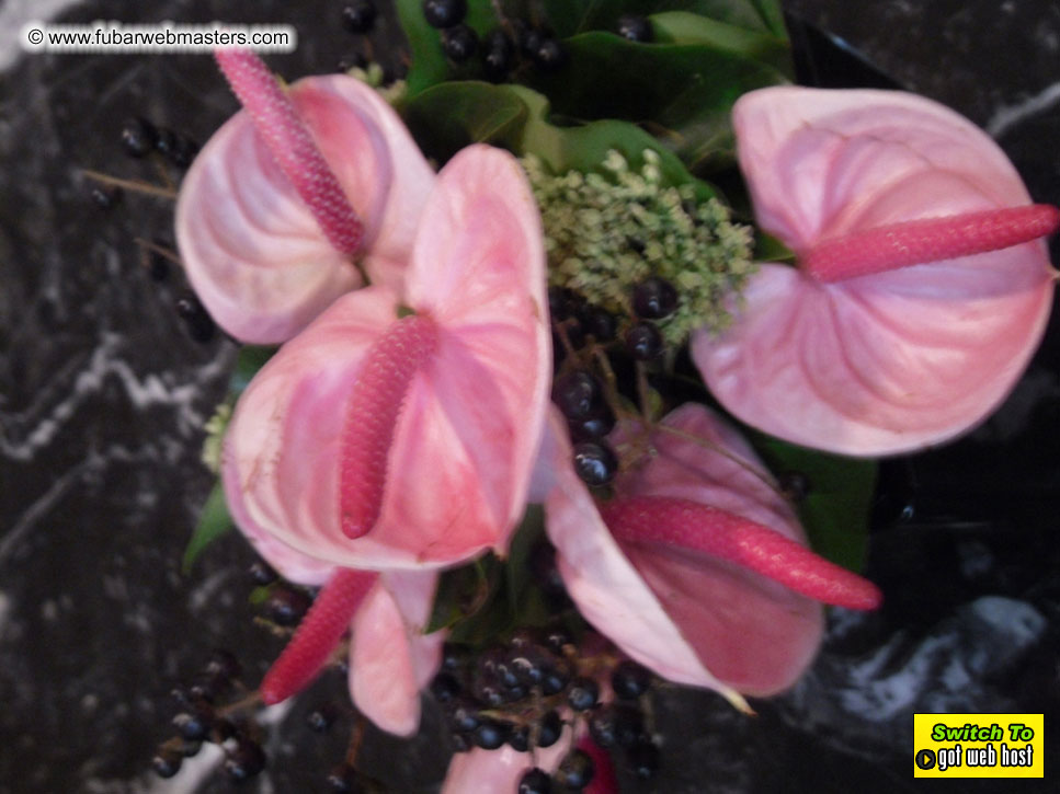 Baddog's view of Webmaster Access Amsterdam