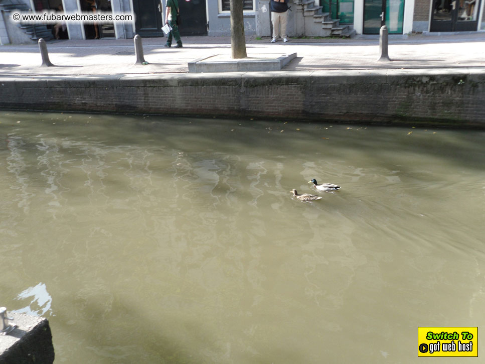 Baddog's view of Webmaster Access Amsterdam