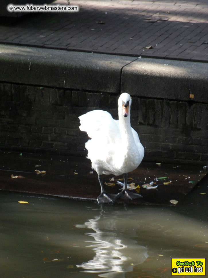 Baddog's view of Webmaster Access Amsterdam