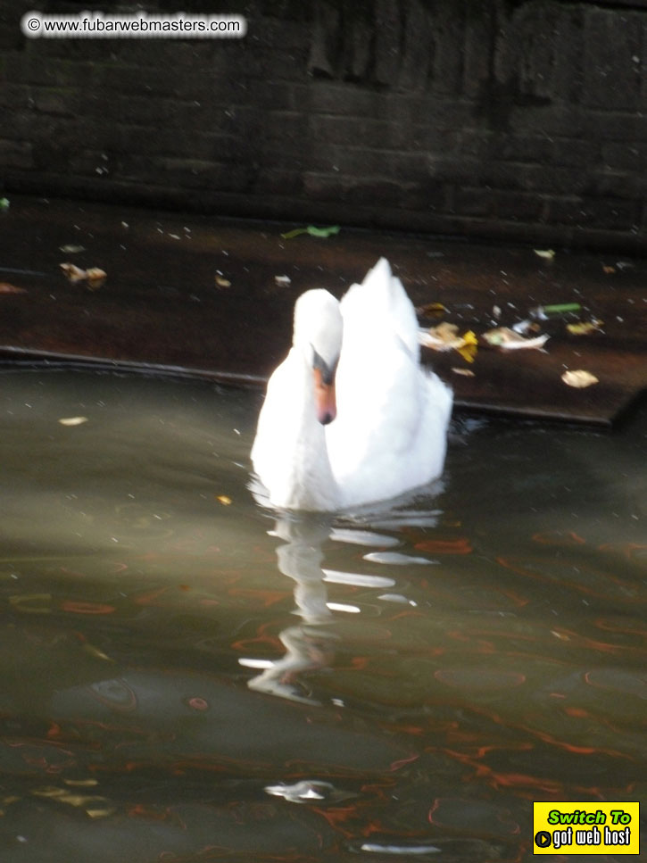 Baddog's view of Webmaster Access Amsterdam