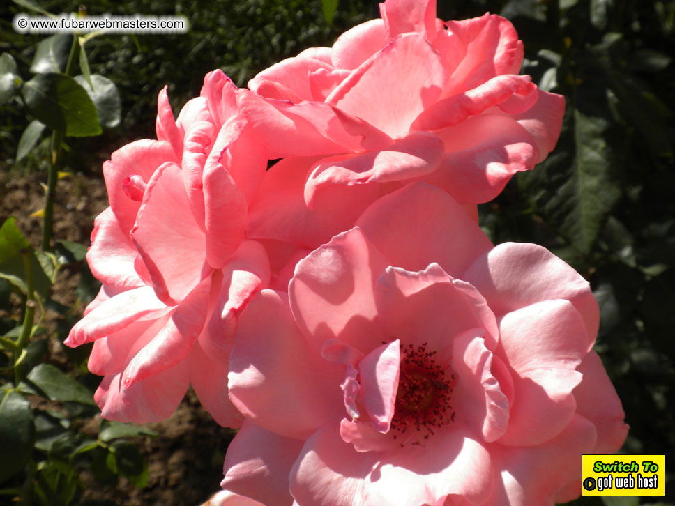 The drive to Andorra