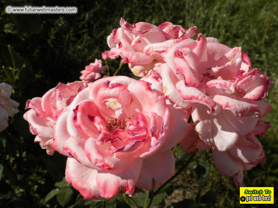 The drive to Andorra