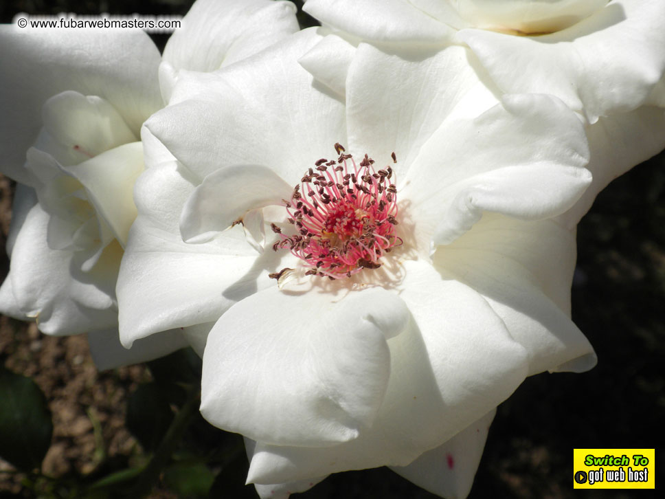 The drive to Andorra