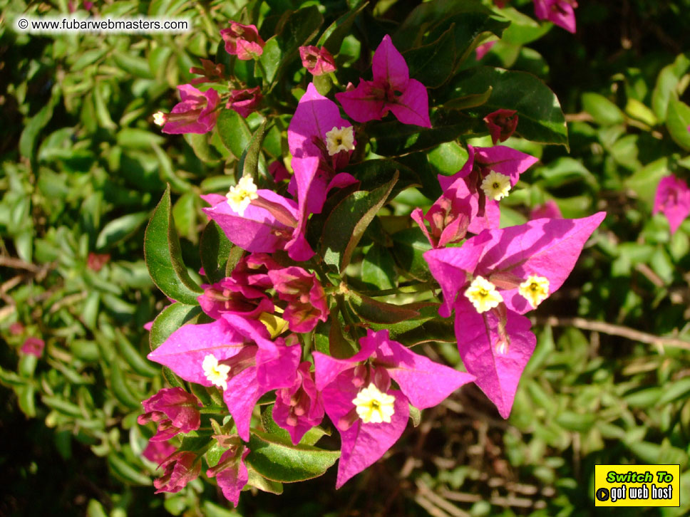 Cruise along the Mediterranean Coastline