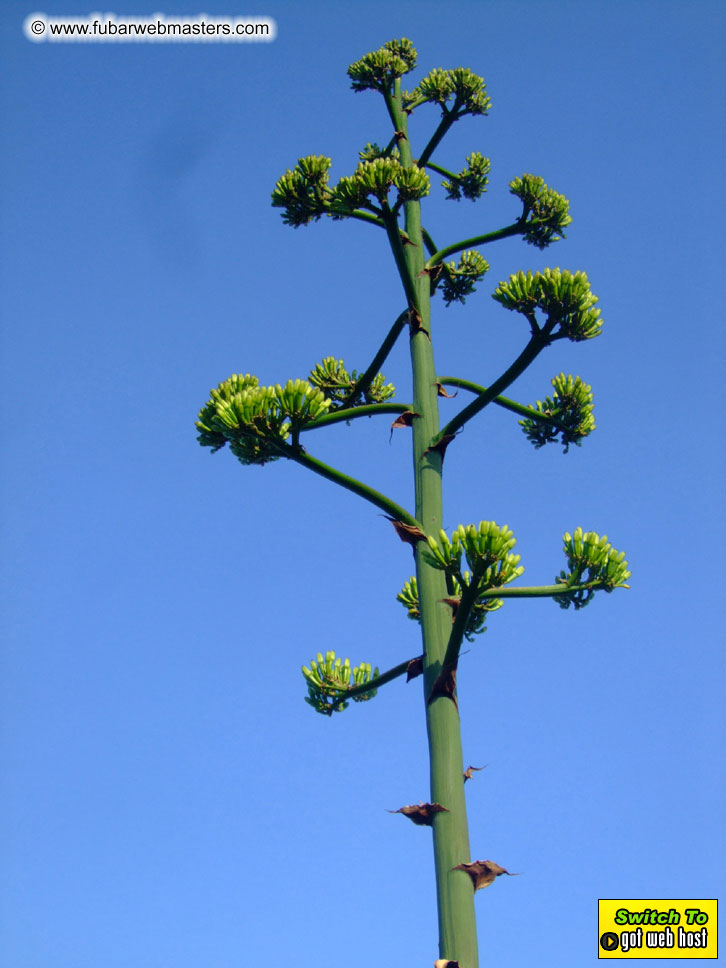 Cruise along the Mediterranean Coastline