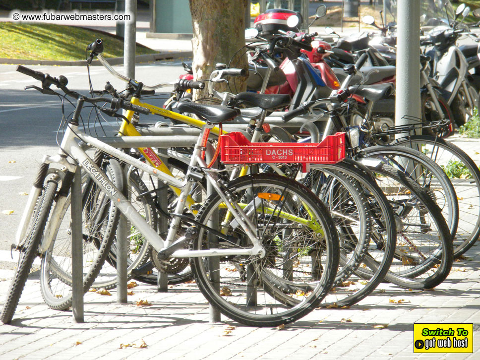 Cruise along the Mediterranean Coastline