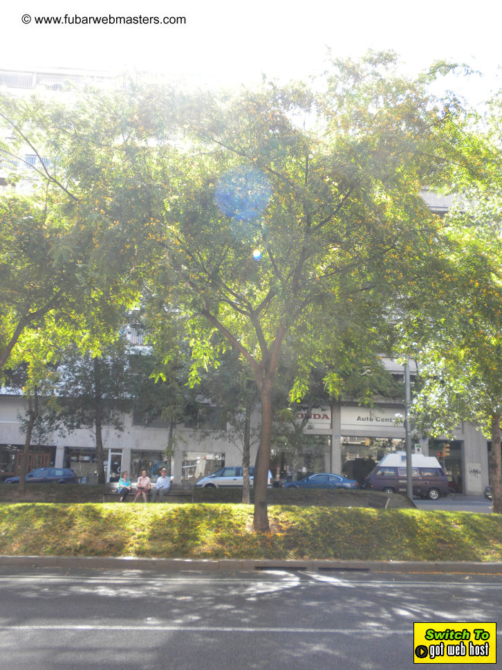 Cruise along the Mediterranean Coastline