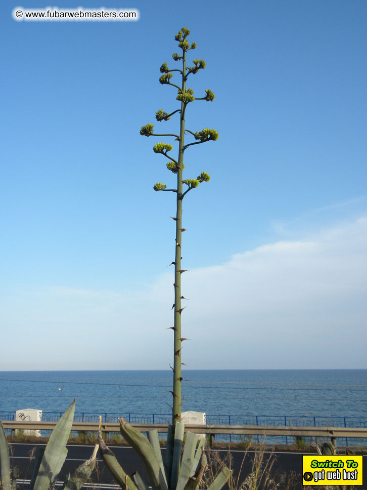 Cruise along the Mediterranean Coastline