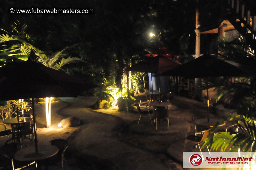 Live Reggae with Swallow & Friends