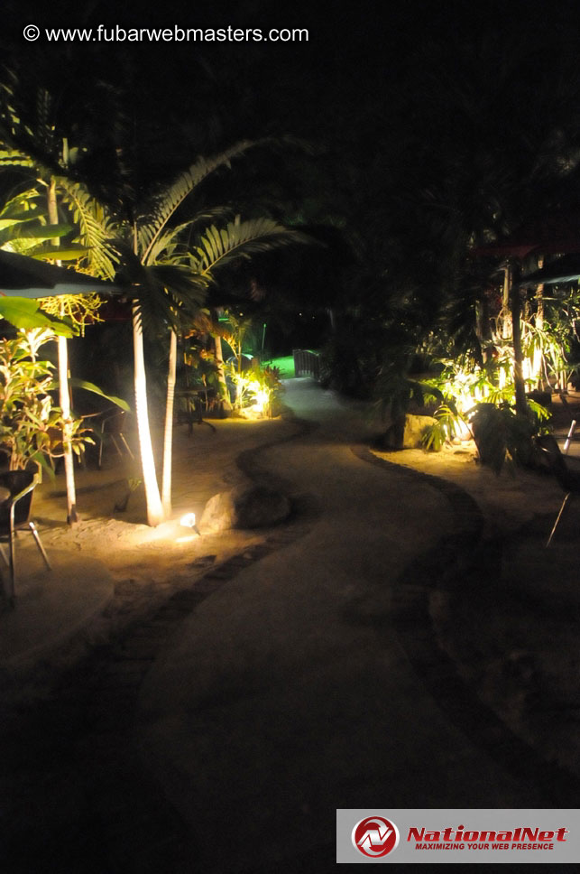 Live Reggae with Swallow & Friends