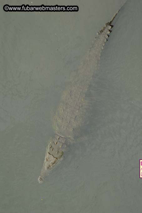 The trip to Jac? Beach