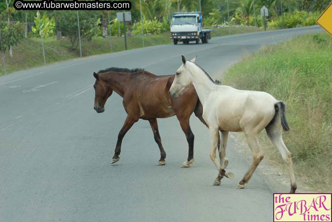 The trip to Jac? Beach