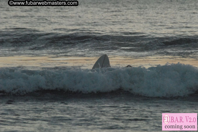 Surf Lessons with Casey Parker