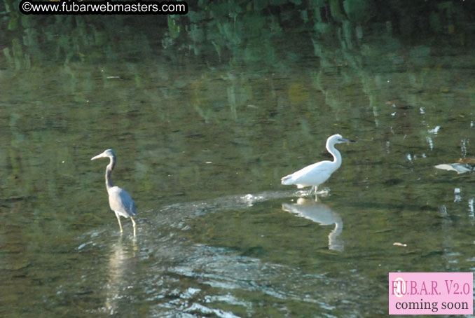 Surf Lessons with Casey Parker