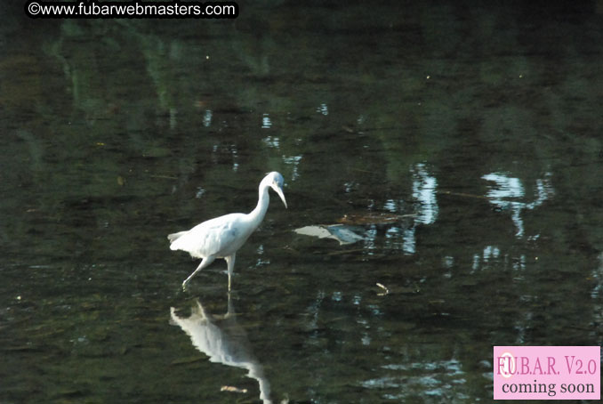 Surf Lessons with Casey Parker