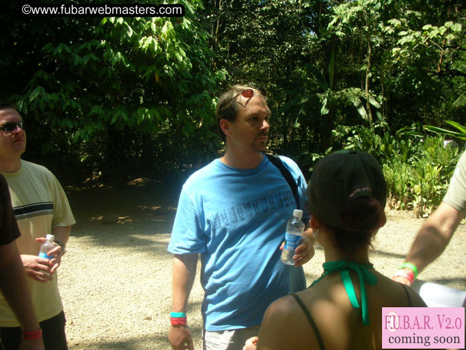 Rainforest Canopy Tours