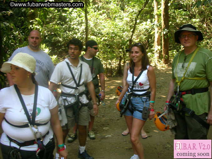Rainforest Canopy Tours