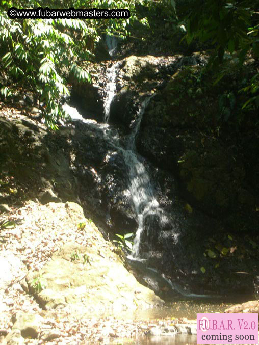 Rainforest Canopy Tours