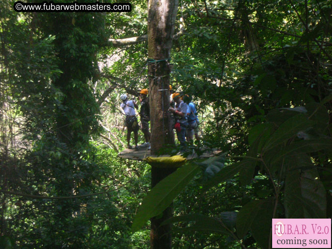 Rainforest Canopy Tours