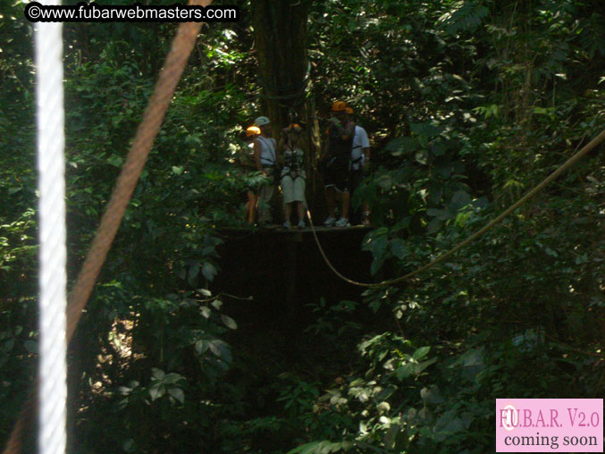 Rainforest Canopy Tours