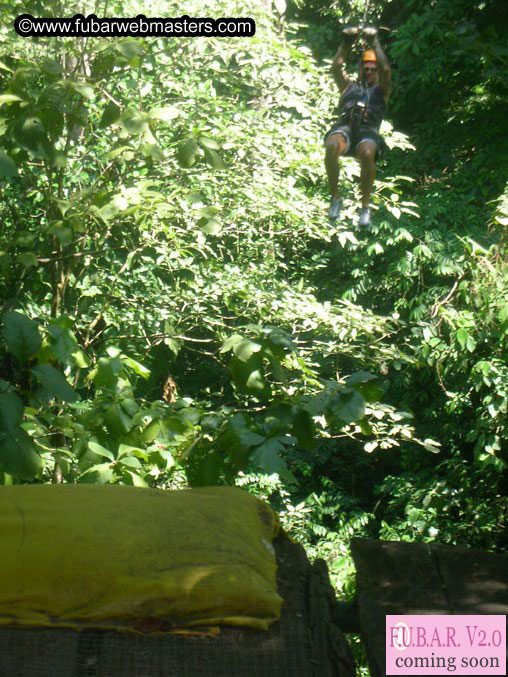 Rainforest Canopy Tours