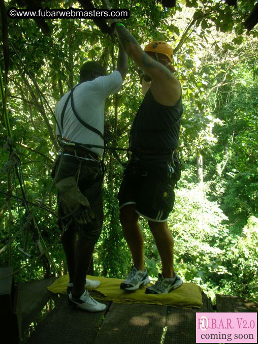 Rainforest Canopy Tours