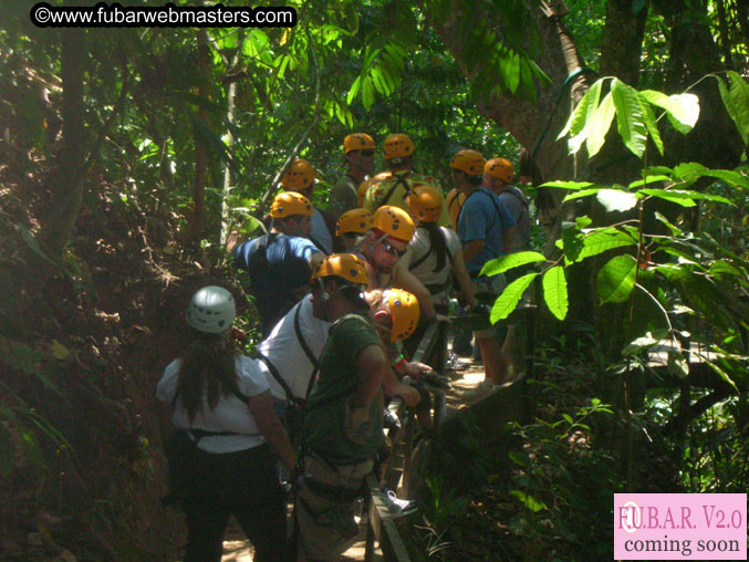 Rainforest Canopy Tours