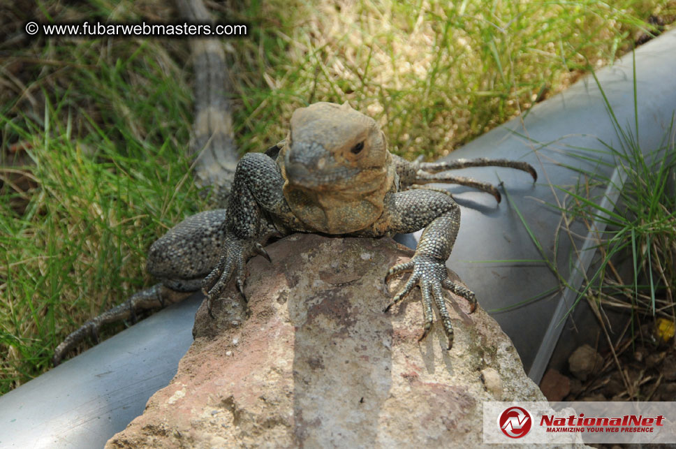 Thursday Night at the Hotel