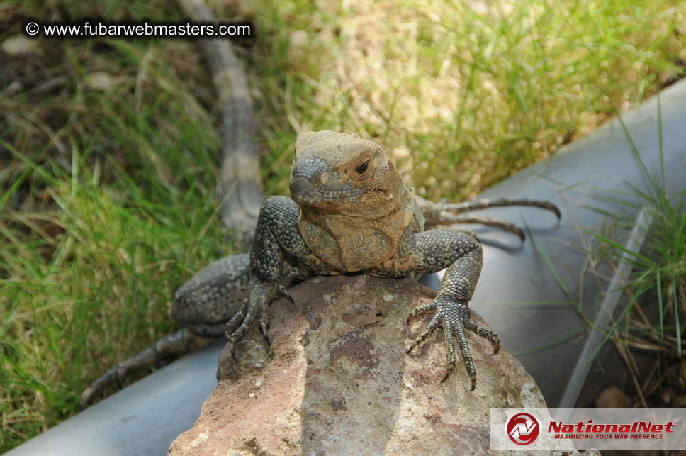 Thursday Night at the Hotel