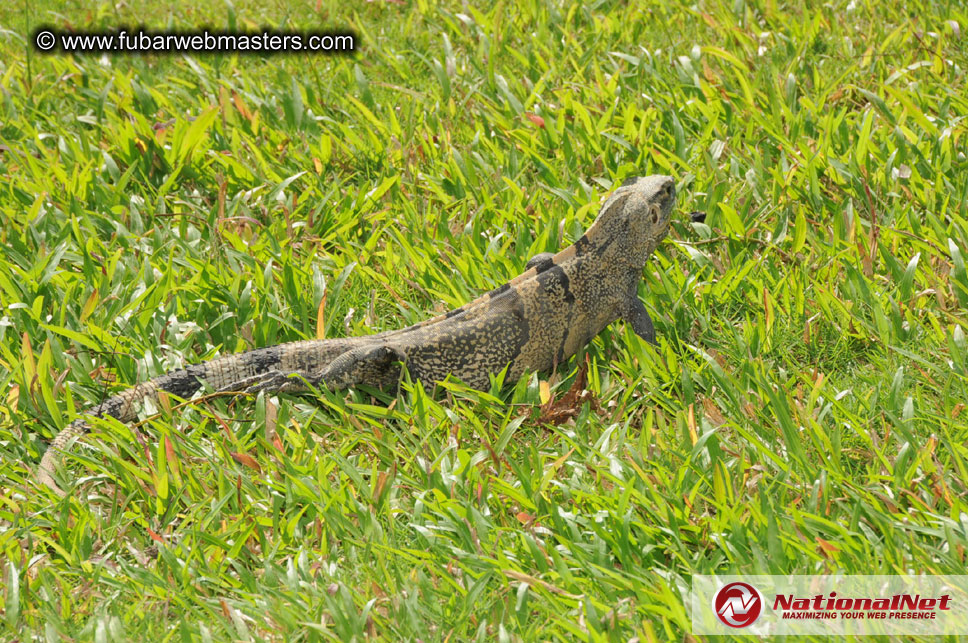 Thursday Night at the Hotel