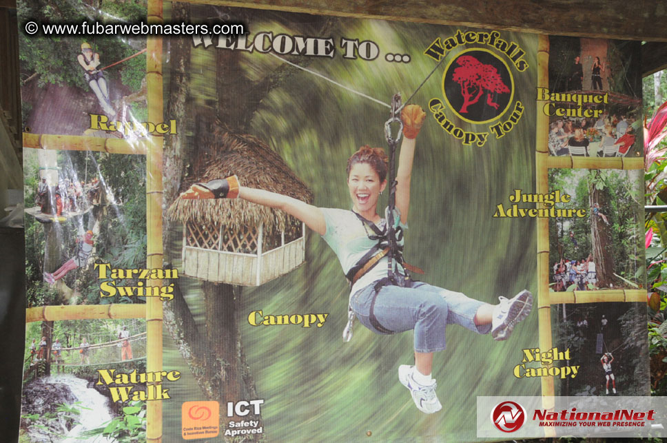 Rainforest Canopy Tours