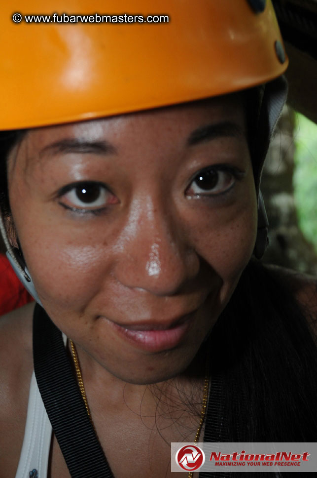 Rainforest Canopy Tours
