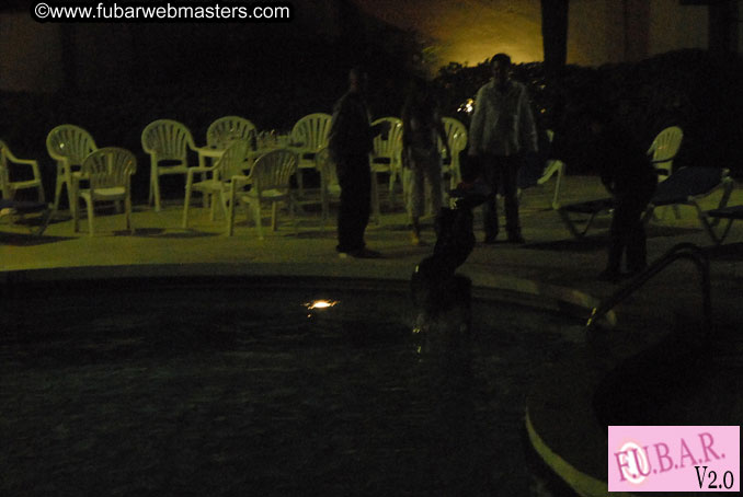 The Hilton Westshore