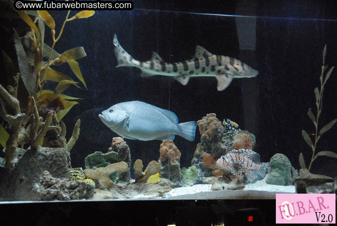 Closing Party at Club Prana