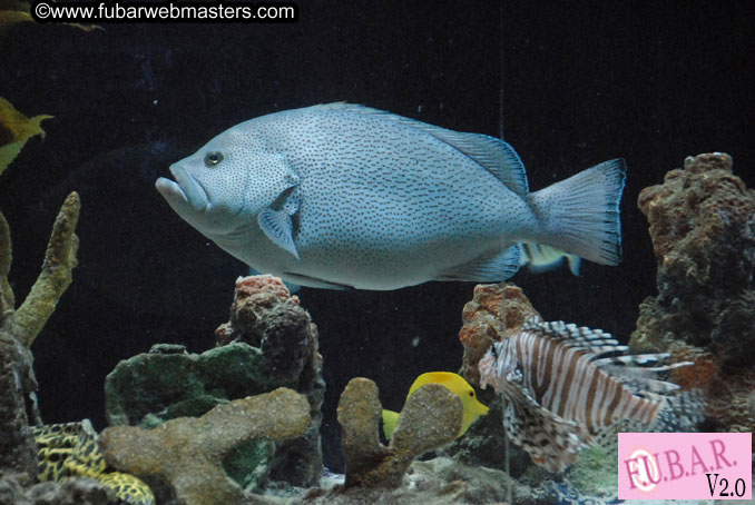 Closing Party at Club Prana