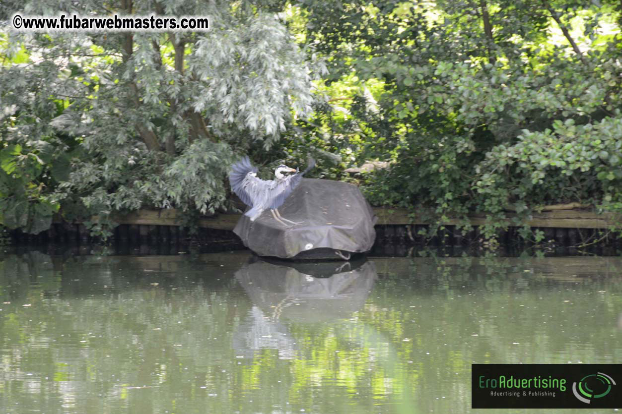 The Webmaster Meeting