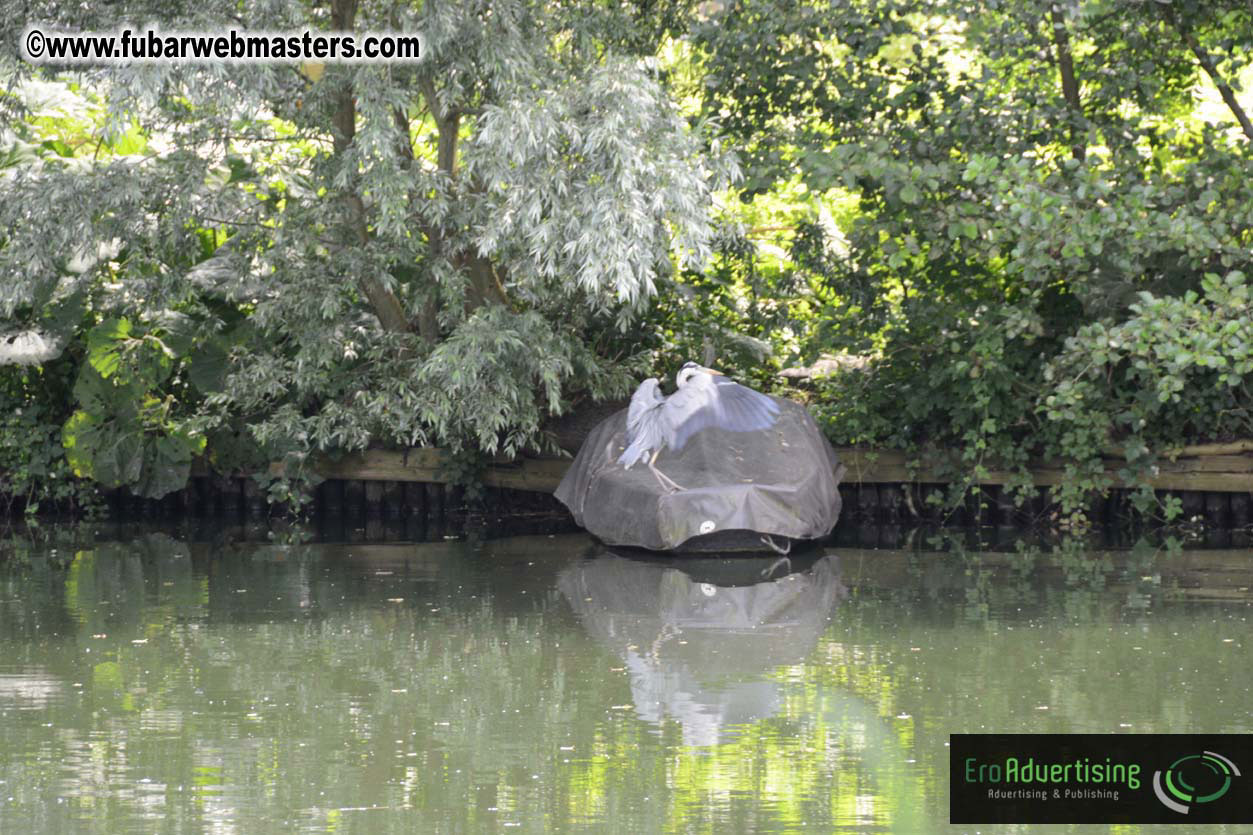 The Webmaster Meeting