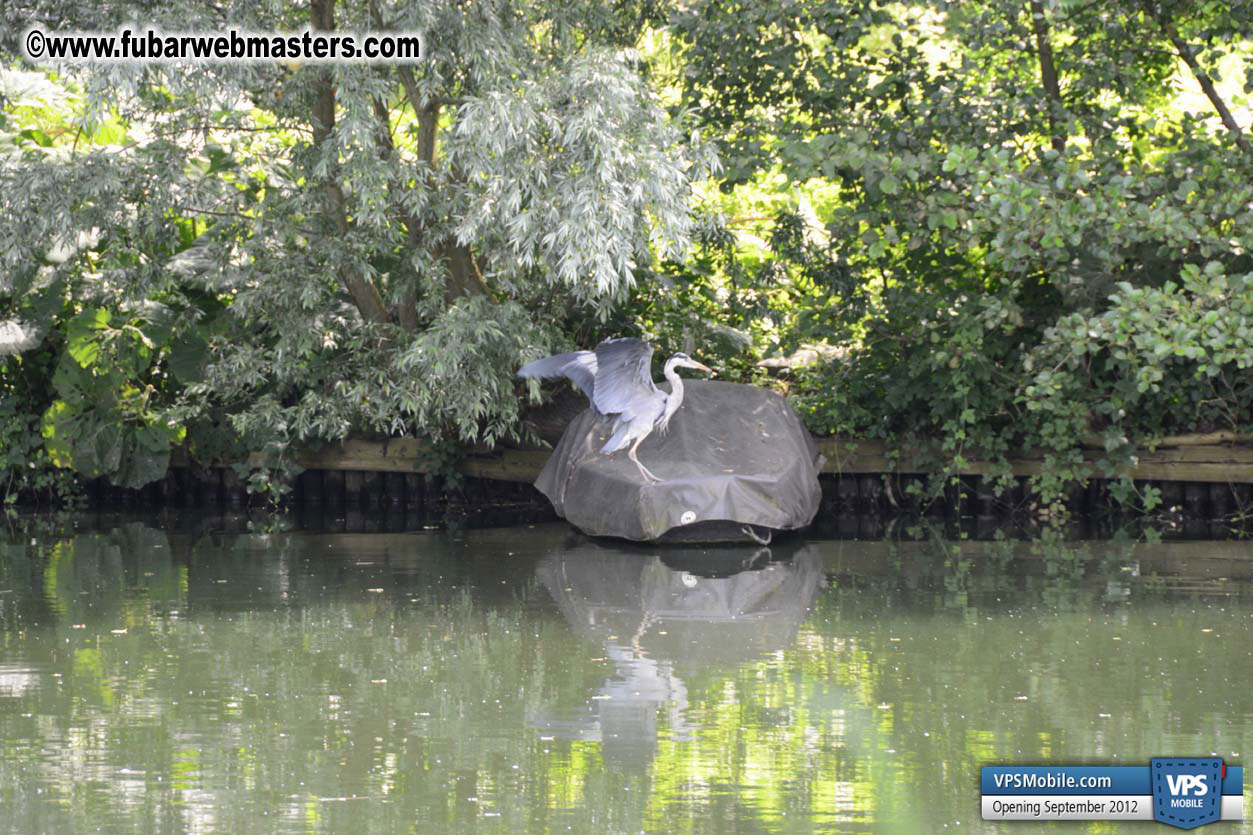 The Webmaster Meeting