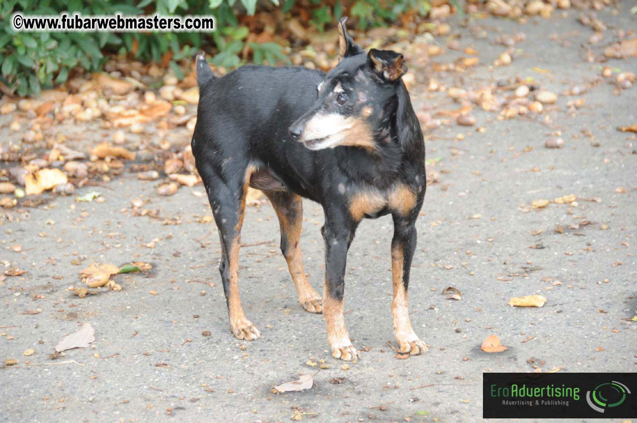 Scenes from around Prague