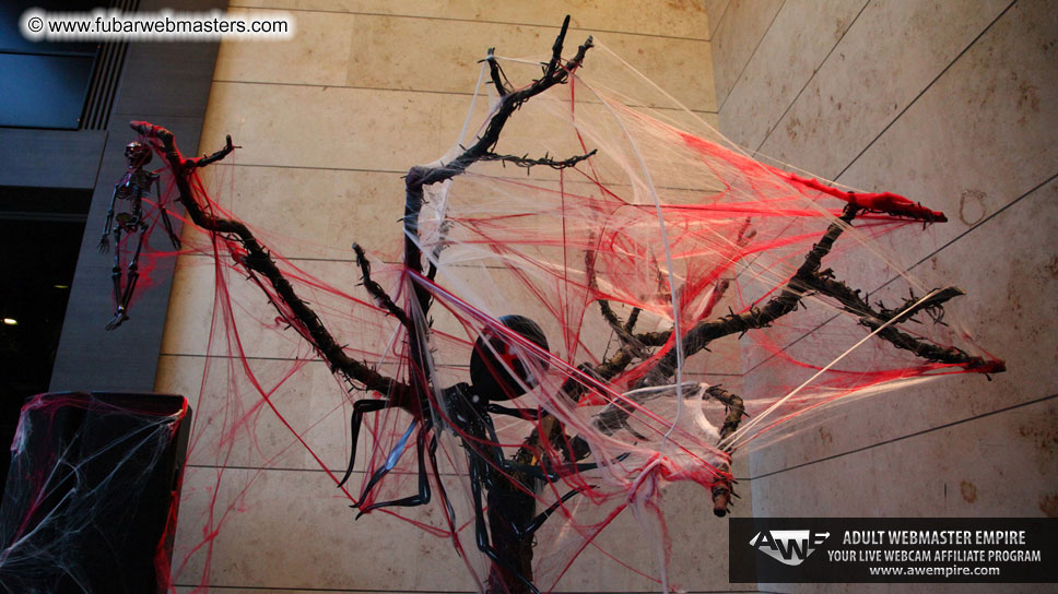 Visit to AWE offices, Budapest, Hungary