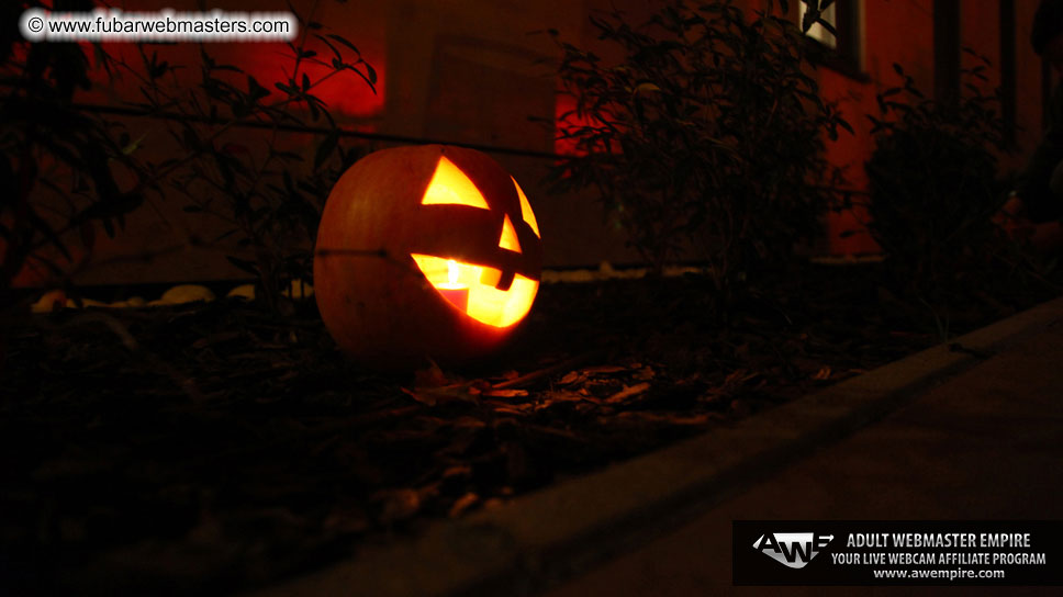 Visit to AWE offices, Budapest, Hungary