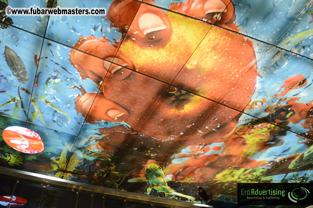 Set-up and Registration