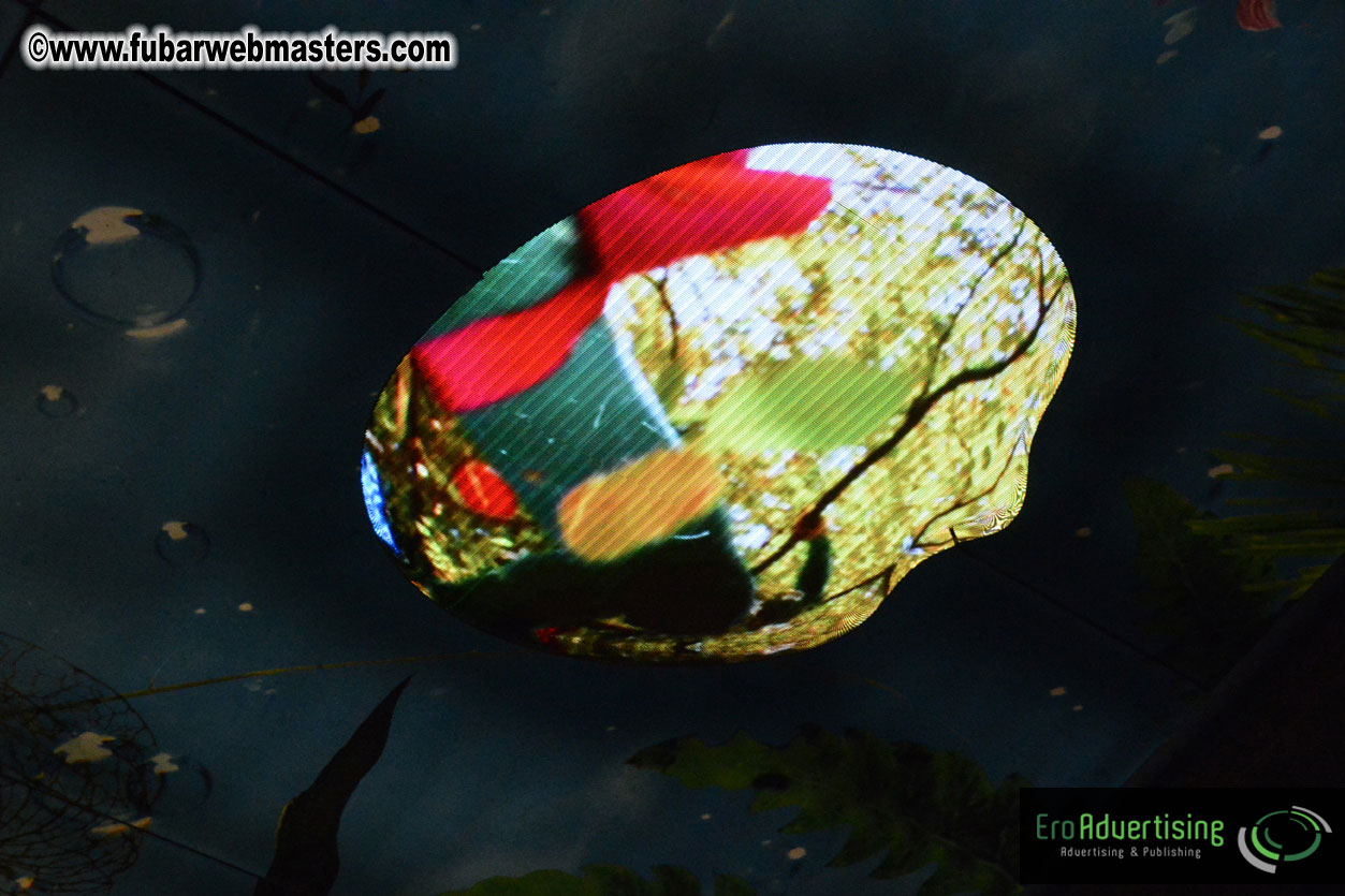 Set-up and Registration