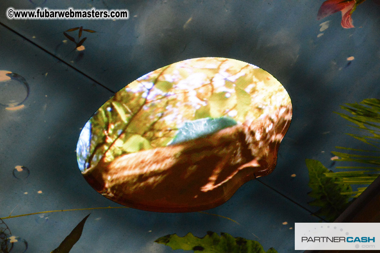 Set-up and Registration