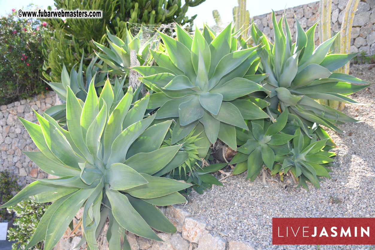 6th EWT Golf Challenge