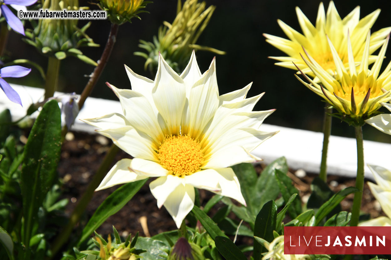 6th EWT Golf Challenge