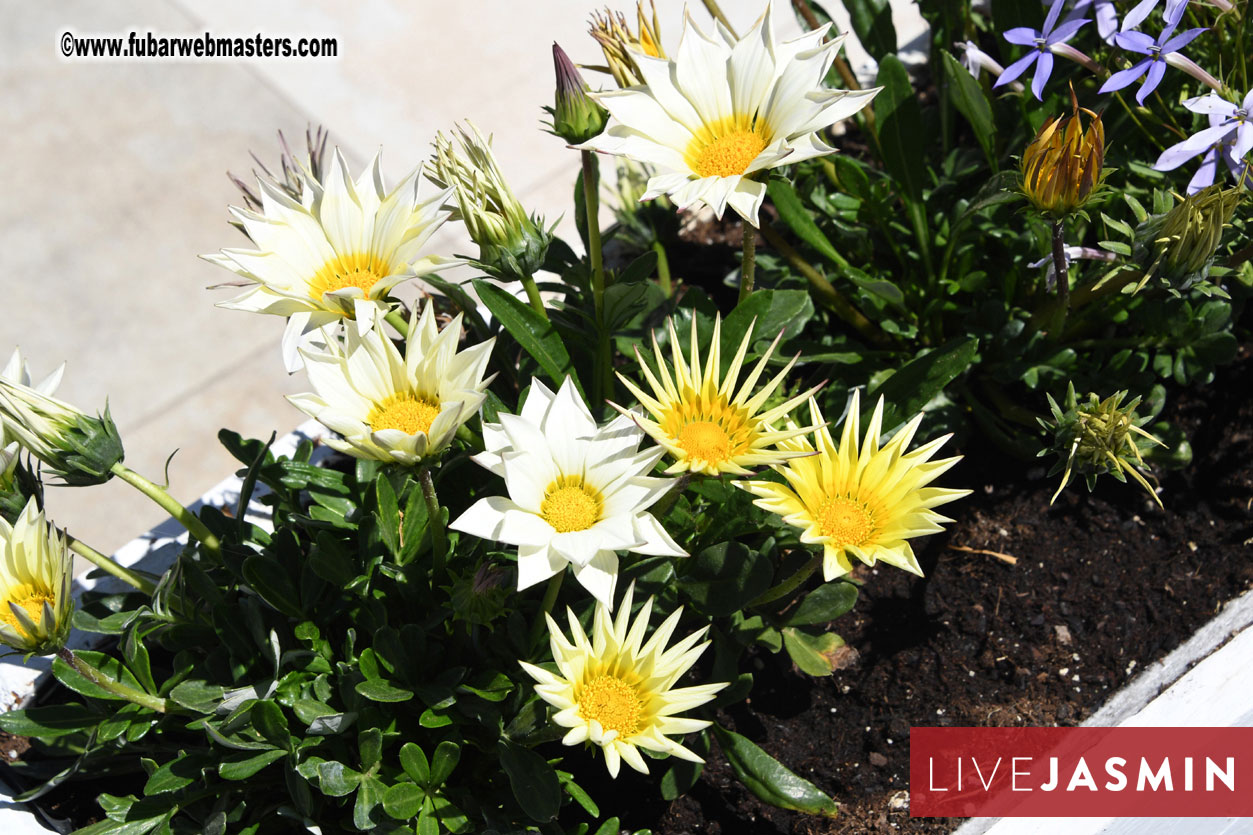 6th EWT Golf Challenge