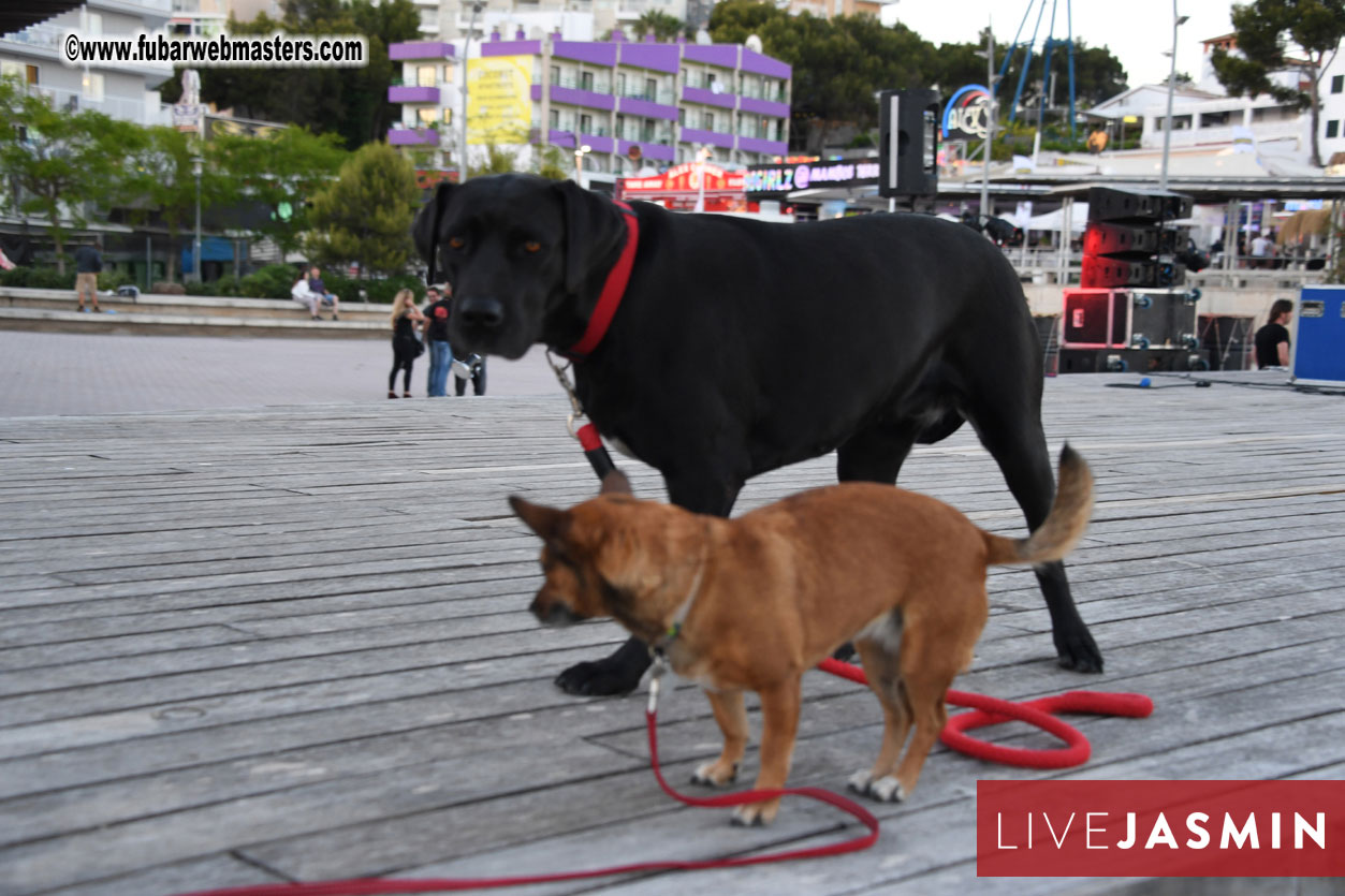 EWT VIP Party at Alex?Çÿs Lounge